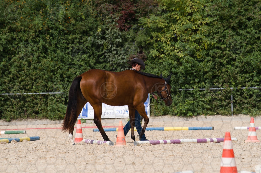 s_batch_A9_00079.jpg